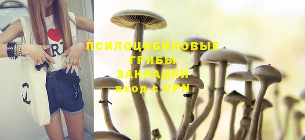 меф Гусев