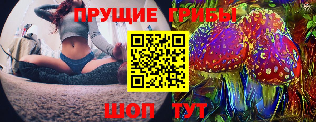 Псилоцибиновые грибы мицелий Кимры