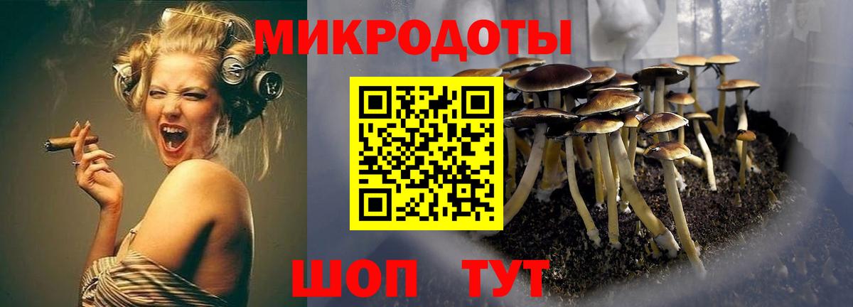 Псилоцибиновые грибы прущие грибы  Псилоцибиновые грибы прущие грибы  Кимры  Вход с VPN 